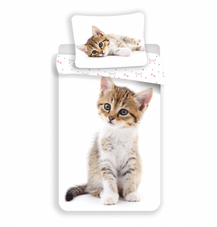 Povlečení kotě - Kitten white